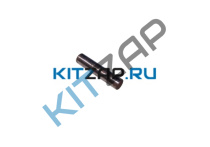 ������������ ���� ���_����_0